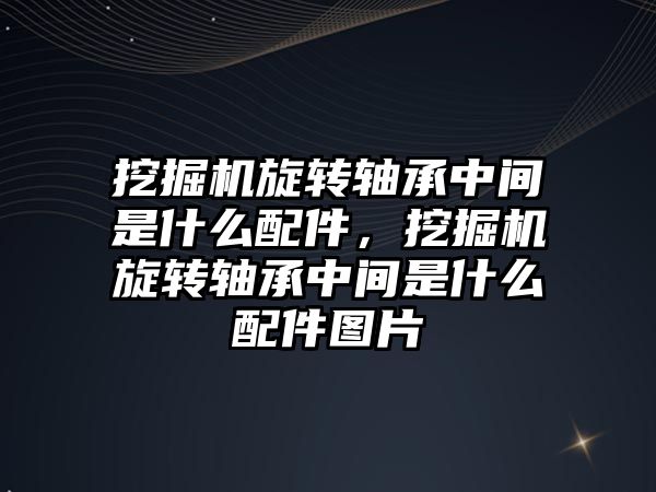 挖掘機旋轉(zhuǎn)軸承中間是什么配件，挖掘機旋轉(zhuǎn)軸承中間是什么配件圖片