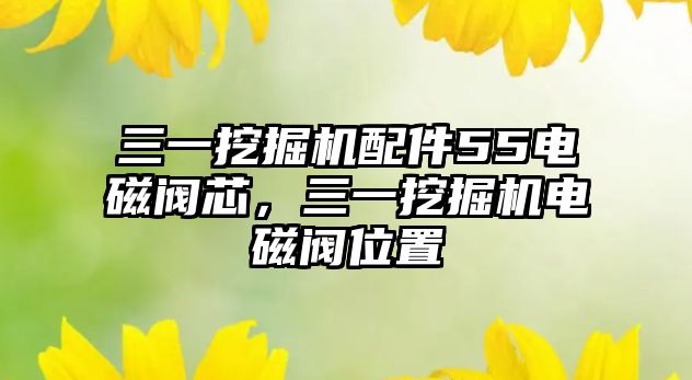 三一挖掘機配件55電磁閥芯，三一挖掘機電磁閥位置