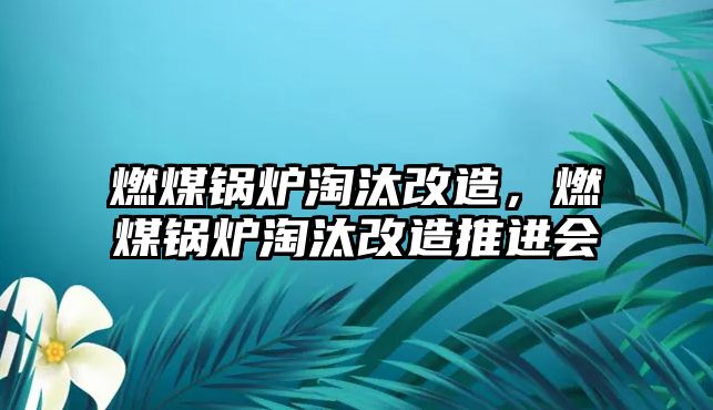 燃煤鍋爐淘汰改造，燃煤鍋爐淘汰改造推進會