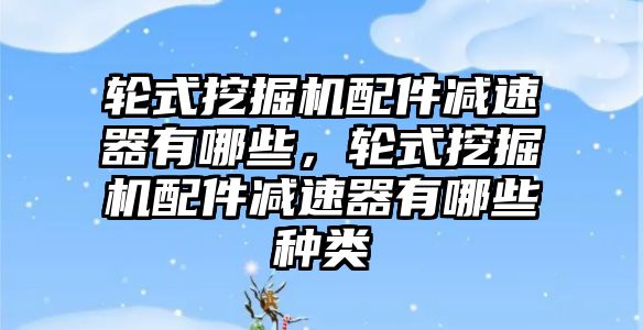 輪式挖掘機配件減速器有哪些，輪式挖掘機配件減速器有哪些種類