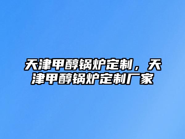 天津甲醇鍋爐定制，天津甲醇鍋爐定制廠家