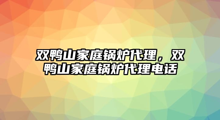 雙鴨山家庭鍋爐代理，雙鴨山家庭鍋爐代理電話