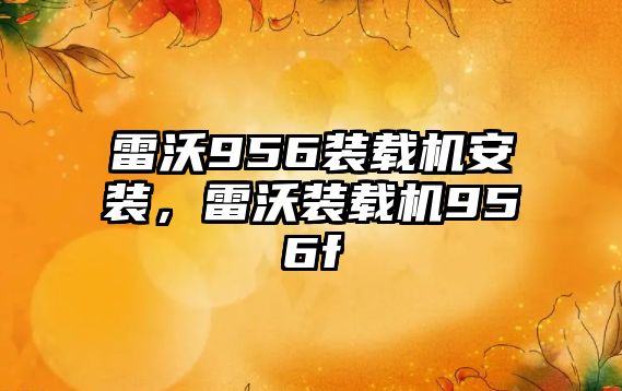 雷沃956裝載機安裝，雷沃裝載機956f