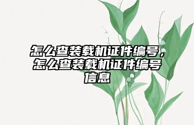 怎么查裝載機證件編號，怎么查裝載機證件編號信息