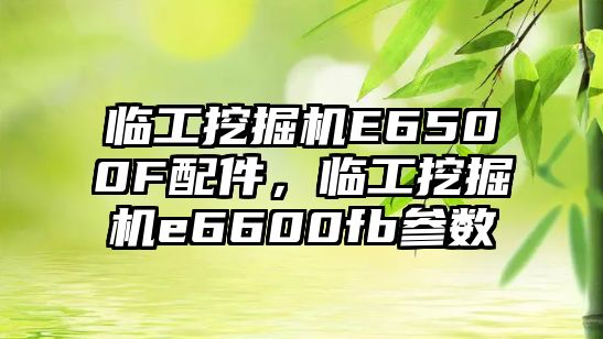 臨工挖掘機E6500F配件，臨工挖掘機e6600fb參數(shù)