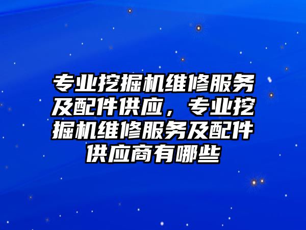 專業(yè)挖掘機維修服務及配件供應，專業(yè)挖掘機維修服務及配件供應商有哪些