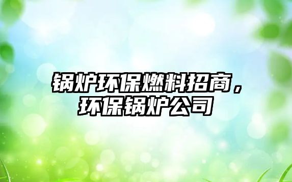 鍋爐環保燃料招商，環保鍋爐公司