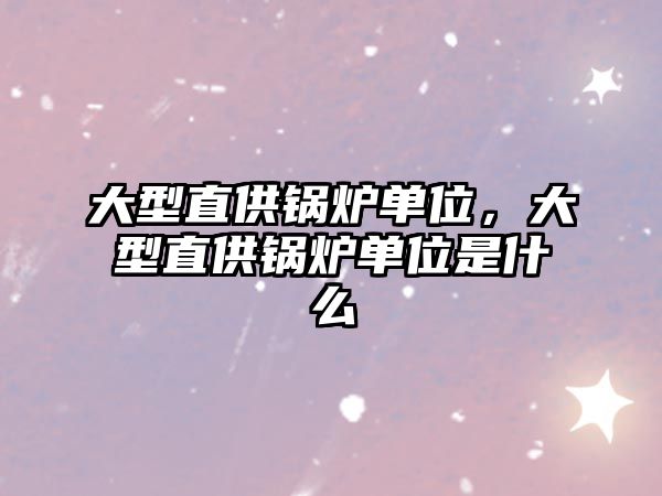 大型直供鍋爐單位，大型直供鍋爐單位是什么