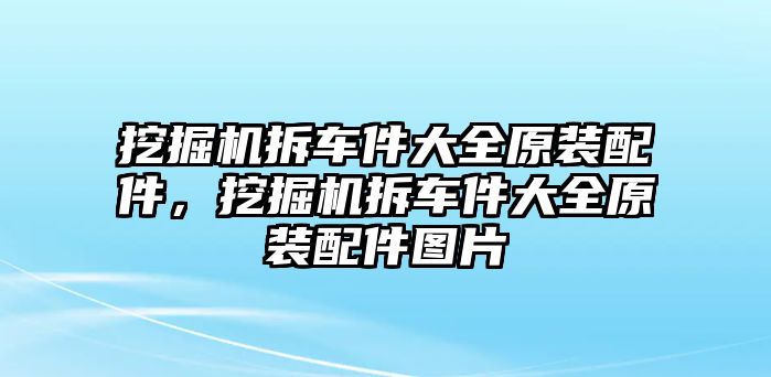 挖掘機(jī)拆車件大全原裝配件，挖掘機(jī)拆車件大全原裝配件圖片