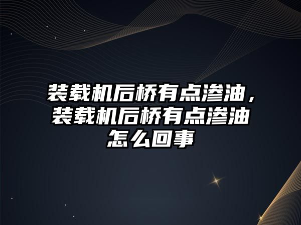 裝載機后橋有點滲油，裝載機后橋有點滲油怎么回事