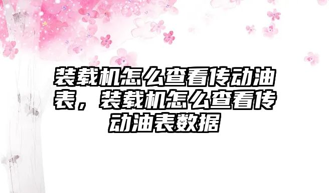 裝載機怎么查看傳動油表，裝載機怎么查看傳動油表數(shù)據(jù)