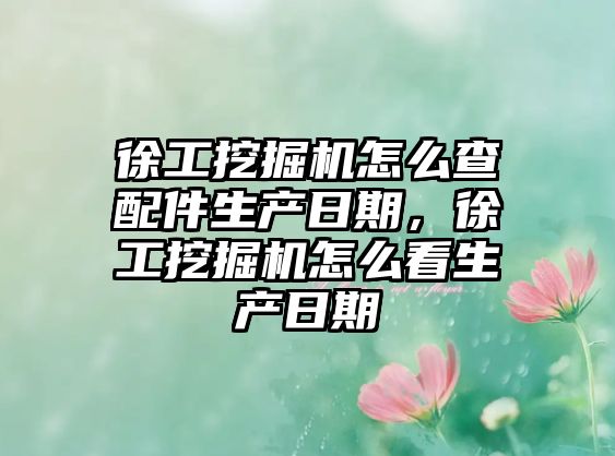 徐工挖掘機怎么查配件生產日期，徐工挖掘機怎么看生產日期