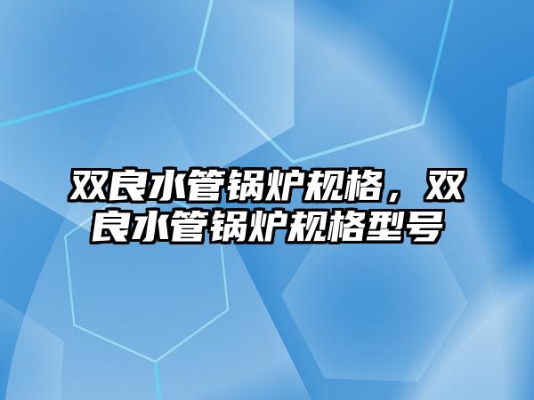 雙良水管鍋爐規格，雙良水管鍋爐規格型號