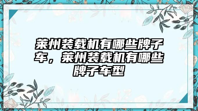 萊州裝載機(jī)有哪些牌子車，萊州裝載機(jī)有哪些牌子車型