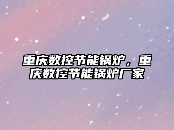 重慶數控節能鍋爐，重慶數控節能鍋爐廠家