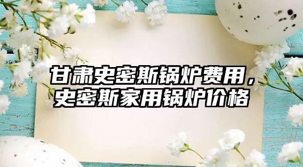 甘肅史密斯鍋爐費用，史密斯家用鍋爐價格