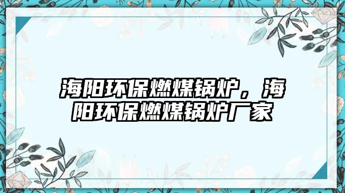 海陽環保燃煤鍋爐，海陽環保燃煤鍋爐廠家