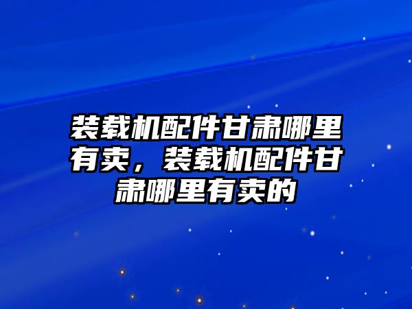 裝載機配件甘肅哪里有賣，裝載機配件甘肅哪里有賣的