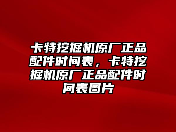 卡特挖掘機原廠正品配件時間表，卡特挖掘機原廠正品配件時間表圖片