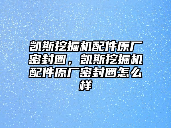 凱斯挖掘機配件原廠密封圈，凱斯挖掘機配件原廠密封圈怎么樣