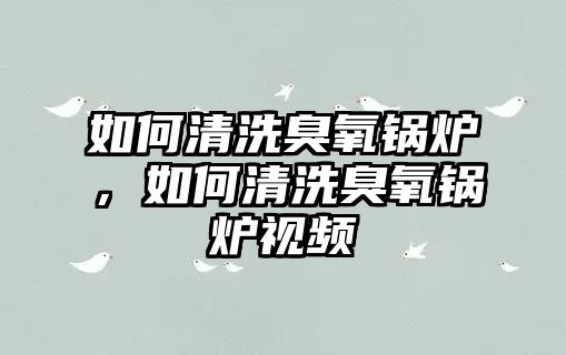 如何清洗臭氧鍋爐，如何清洗臭氧鍋爐視頻