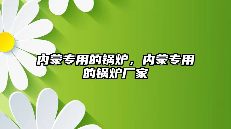 內蒙專用的鍋爐，內蒙專用的鍋爐廠家