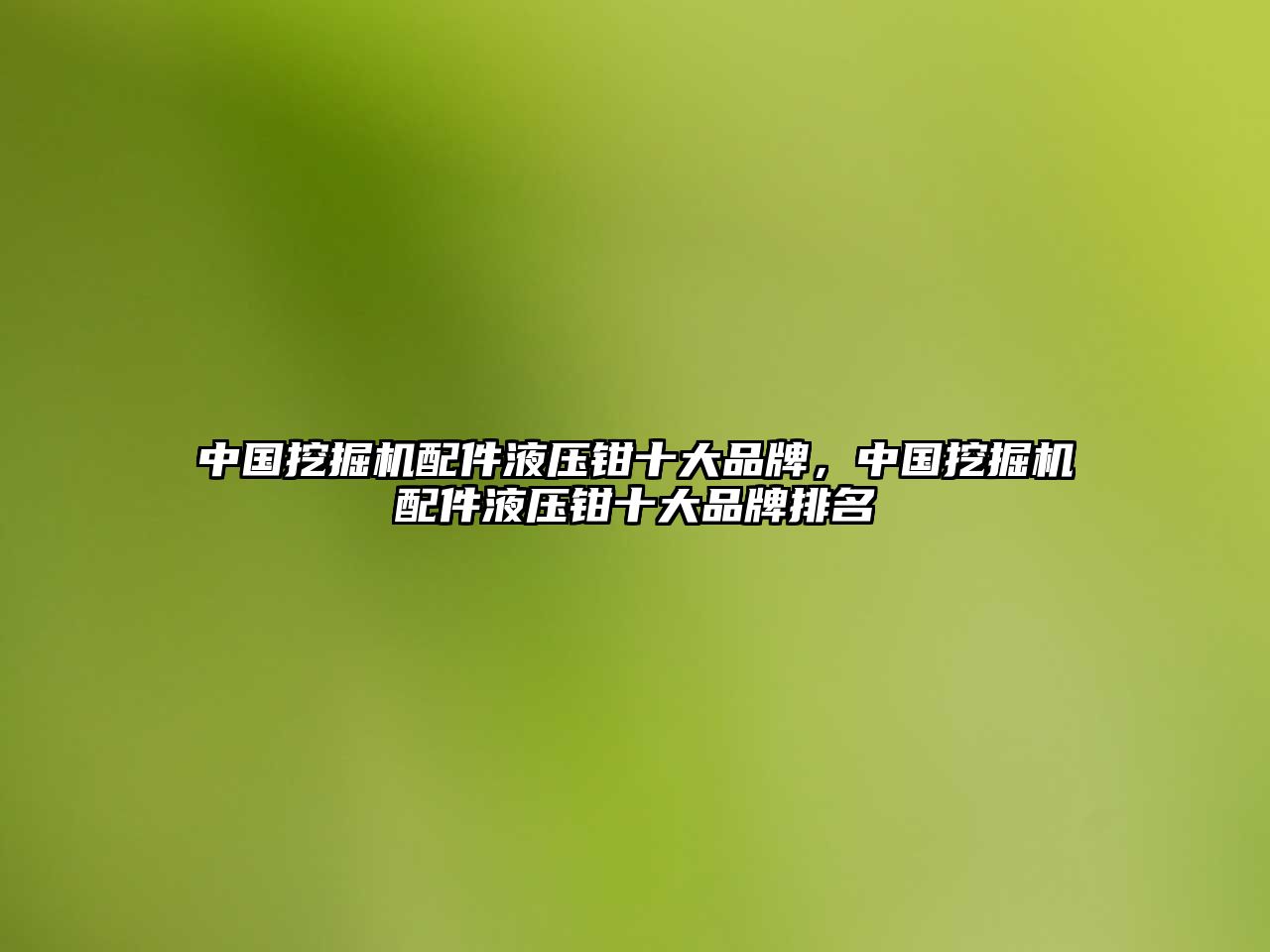 中國挖掘機配件液壓鉗十大品牌，中國挖掘機配件液壓鉗十大品牌排名