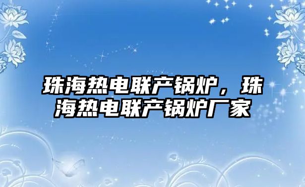 珠海熱電聯產鍋爐，珠海熱電聯產鍋爐廠家