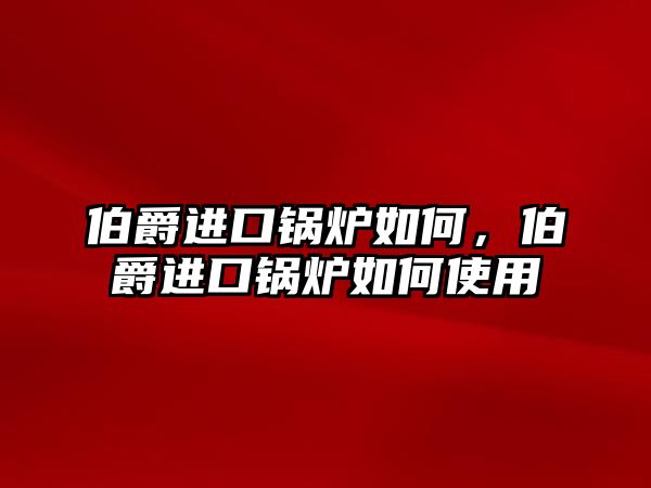 伯爵進(jìn)口鍋爐如何，伯爵進(jìn)口鍋爐如何使用