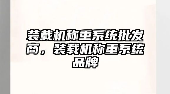 裝載機稱重系統批發商，裝載機稱重系統品牌