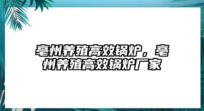 亳州養(yǎng)殖高效鍋爐，亳州養(yǎng)殖高效鍋爐廠(chǎng)家