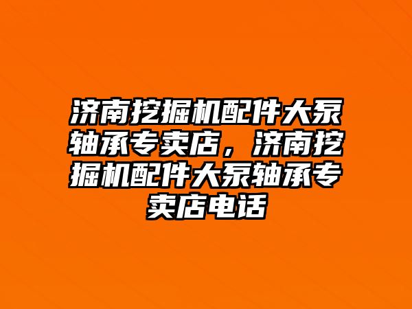 濟南挖掘機配件大泵軸承專賣店，濟南挖掘機配件大泵軸承專賣店電話