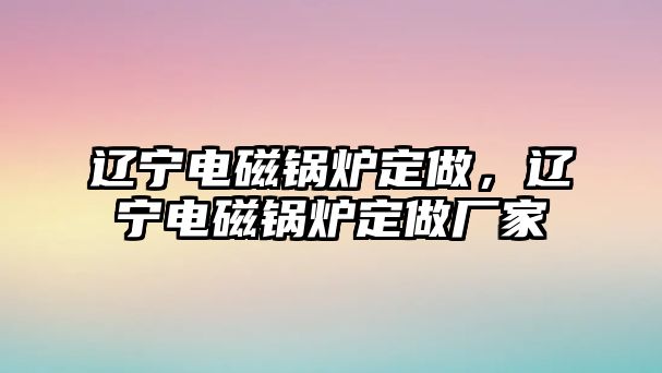 遼寧電磁鍋爐定做，遼寧電磁鍋爐定做廠家