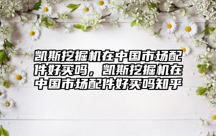 凱斯挖掘機在中國市場配件好買嗎，凱斯挖掘機在中國市場配件好買嗎知乎