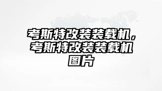 考斯特改裝裝載機，考斯特改裝裝載機圖片