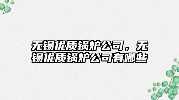 無錫優質鍋爐公司，無錫優質鍋爐公司有哪些