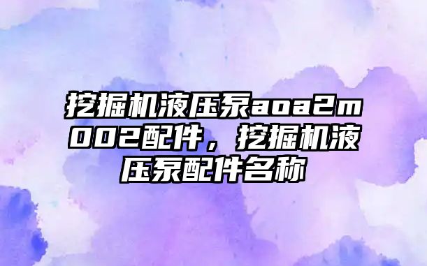 挖掘機液壓泵aoa2m002配件，挖掘機液壓泵配件名稱