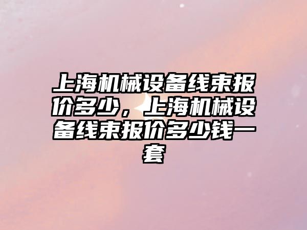 上海機械設備線束報價多少，上海機械設備線束報價多少錢一套