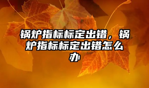 鍋爐指標標定出錯，鍋爐指標標定出錯怎么辦