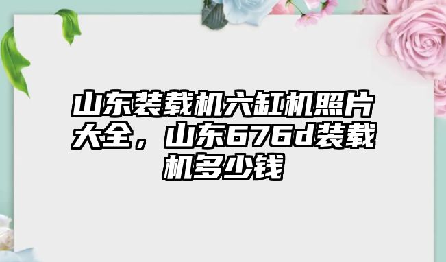 山東裝載機六缸機照片大全，山東676d裝載機多少錢