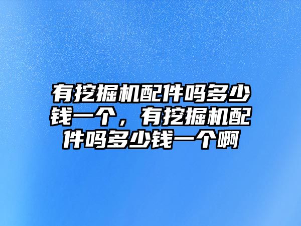 有挖掘機配件嗎多少錢一個，有挖掘機配件嗎多少錢一個啊