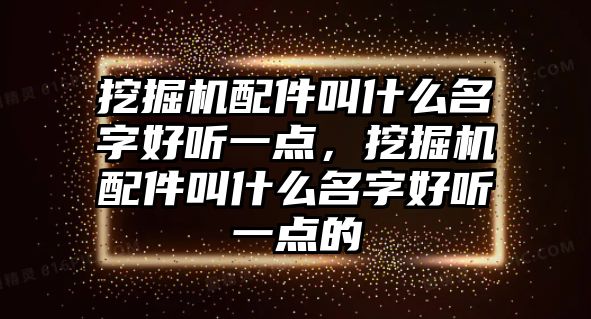 挖掘機配件叫什么名字好聽一點，挖掘機配件叫什么名字好聽一點的