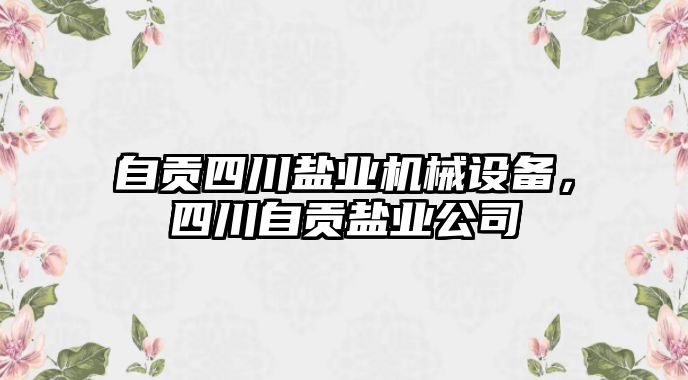 自貢四川鹽業機械設備，四川自貢鹽業公司