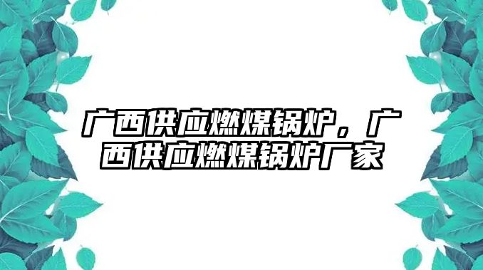 廣西供應(yīng)燃煤鍋爐，廣西供應(yīng)燃煤鍋爐廠家