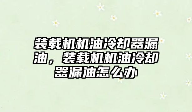 裝載機機油冷卻器漏油，裝載機機油冷卻器漏油怎么辦