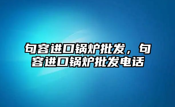 句容進口鍋爐批發，句容進口鍋爐批發電話