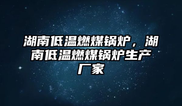 湖南低溫燃煤鍋爐，湖南低溫燃煤鍋爐生產廠家