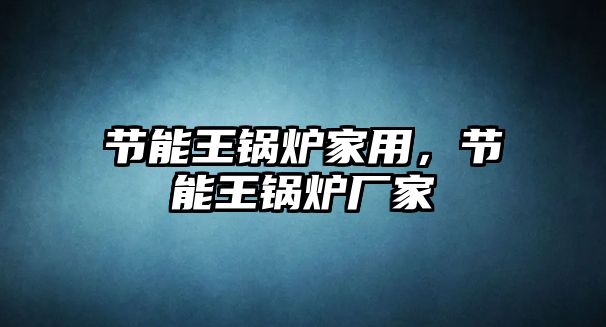 節能王鍋爐家用，節能王鍋爐廠家