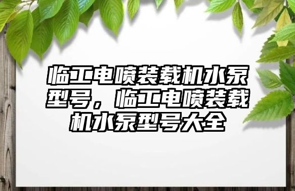 臨工電噴裝載機水泵型號，臨工電噴裝載機水泵型號大全