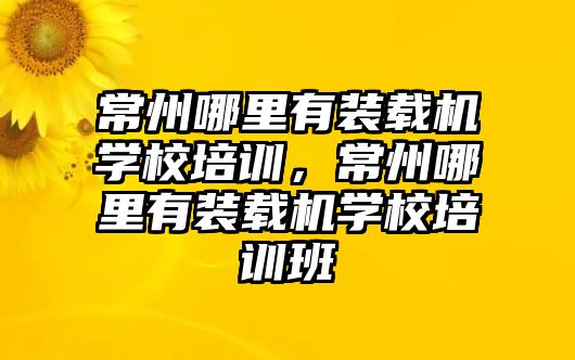 常州哪里有裝載機(jī)學(xué)校培訓(xùn)，常州哪里有裝載機(jī)學(xué)校培訓(xùn)班